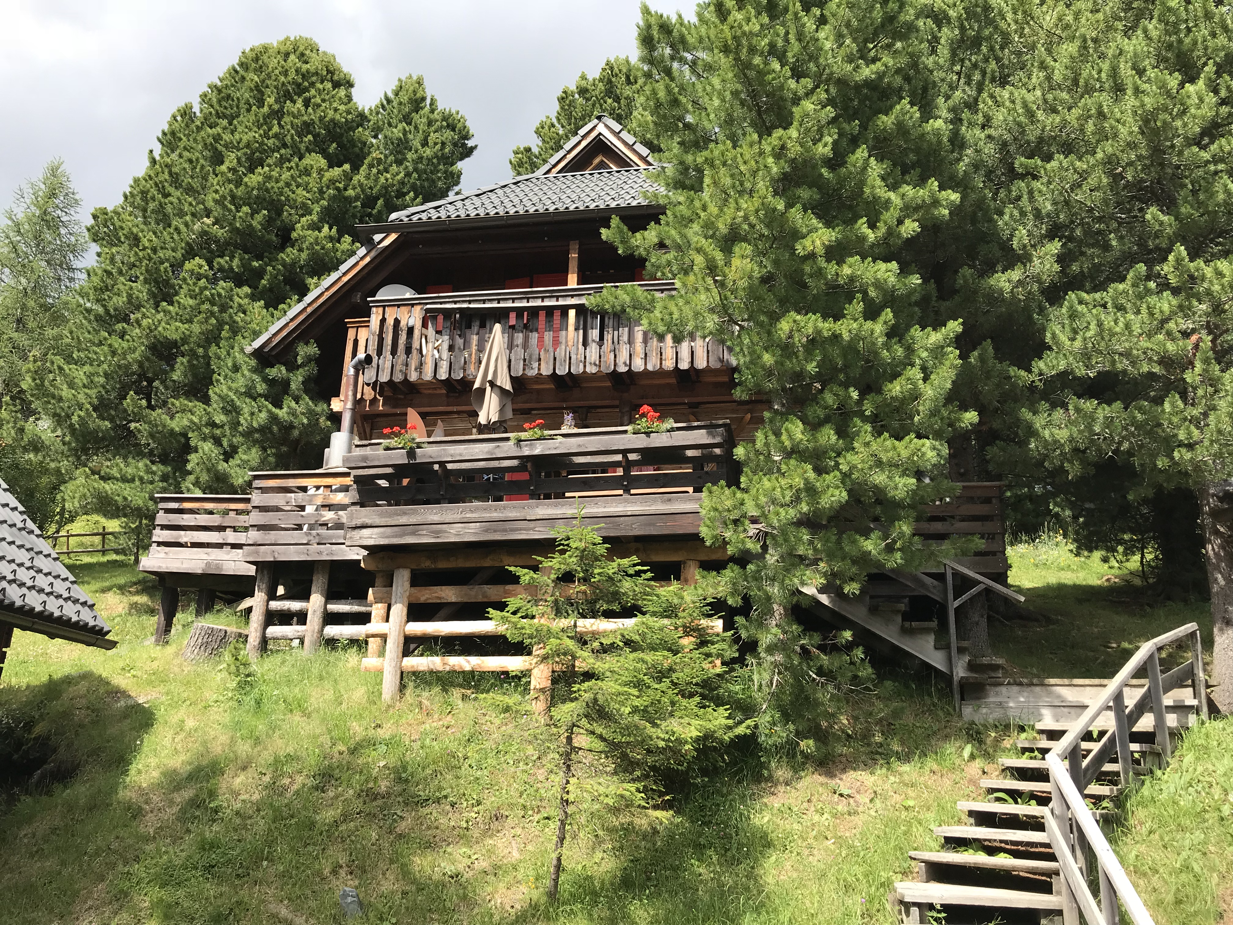 Image Tag