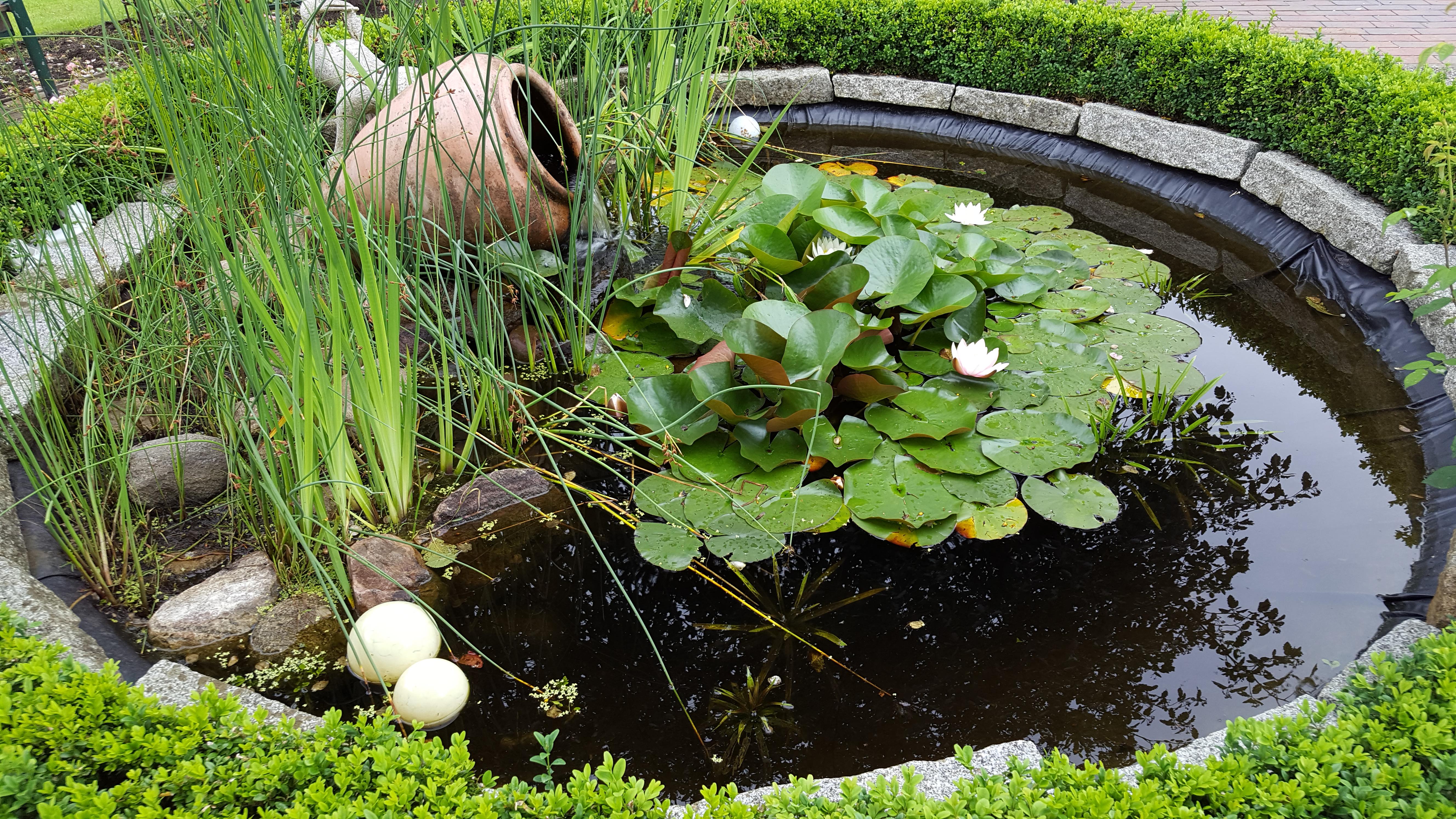 Image Tag
